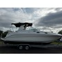 Sea Ray 260 Sundancer mit Trailer Motoryacht Yacht Boot Schiff