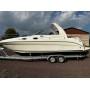 Sea Ray 260 Sundancer mit Trailer Motoryacht Yacht Boot Schiff